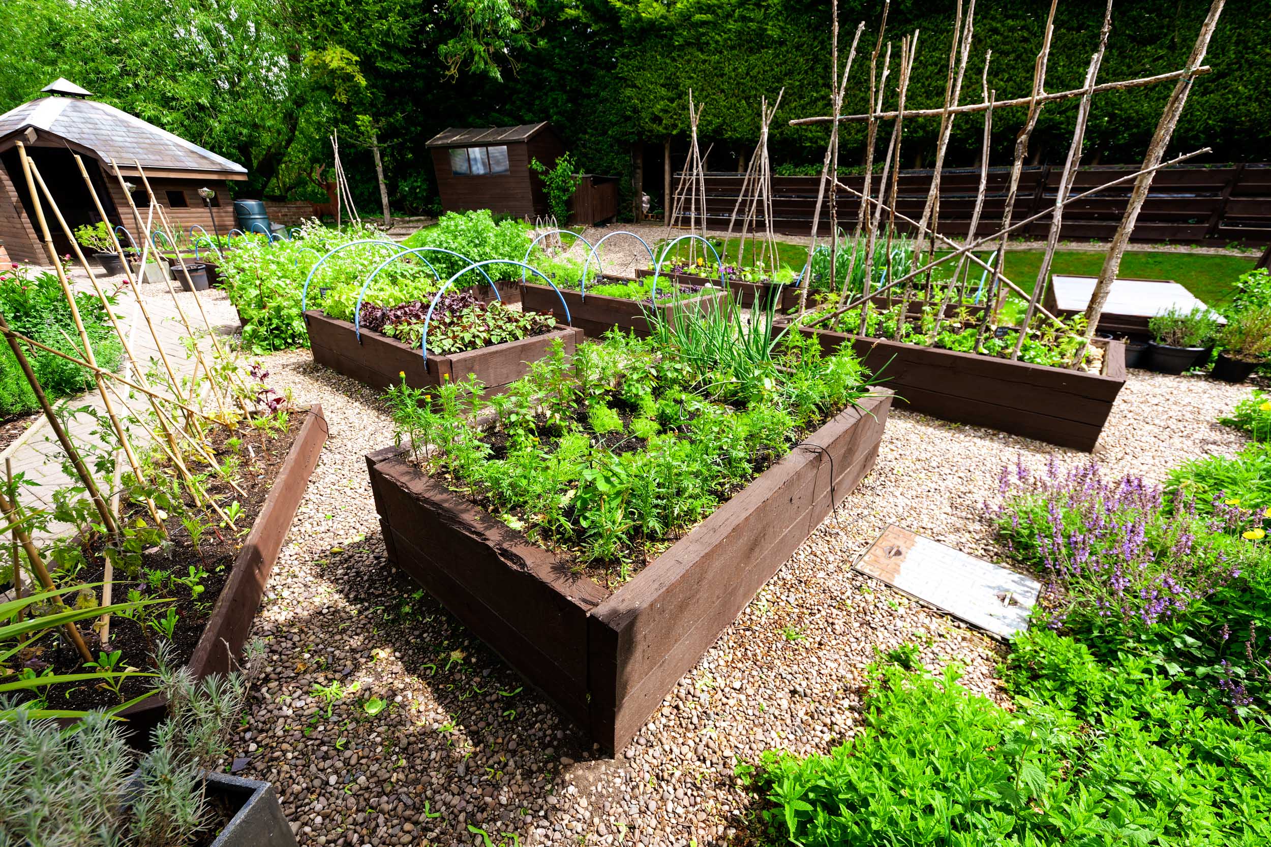 The Urban Garden